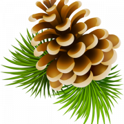 Christmas Conifer Cone PNG Image File