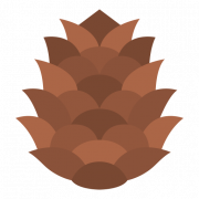 Christmas Conifer Cone PNG Pic