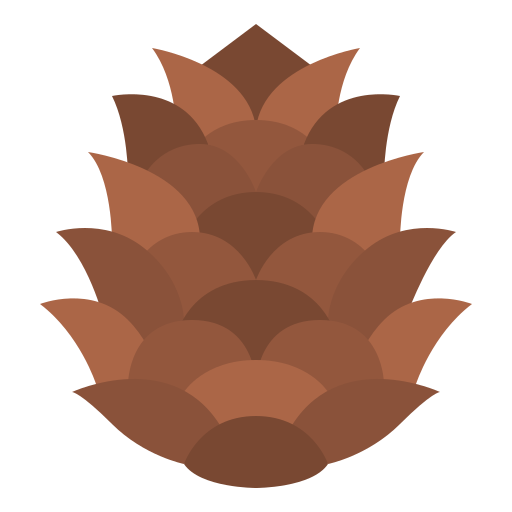 Christmas Conifer Cone PNG Pic
