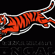 Bengals de Cincinnati