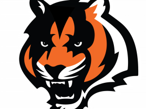 Cincinnati Bengals Logo PNG Clipart