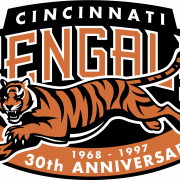 Cincinnati Bengals sem fundo