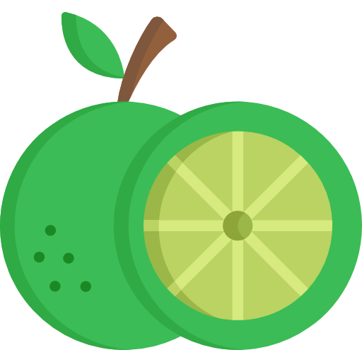 Citrus Lime PNG File