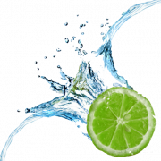 Citrus lime png immagine hd