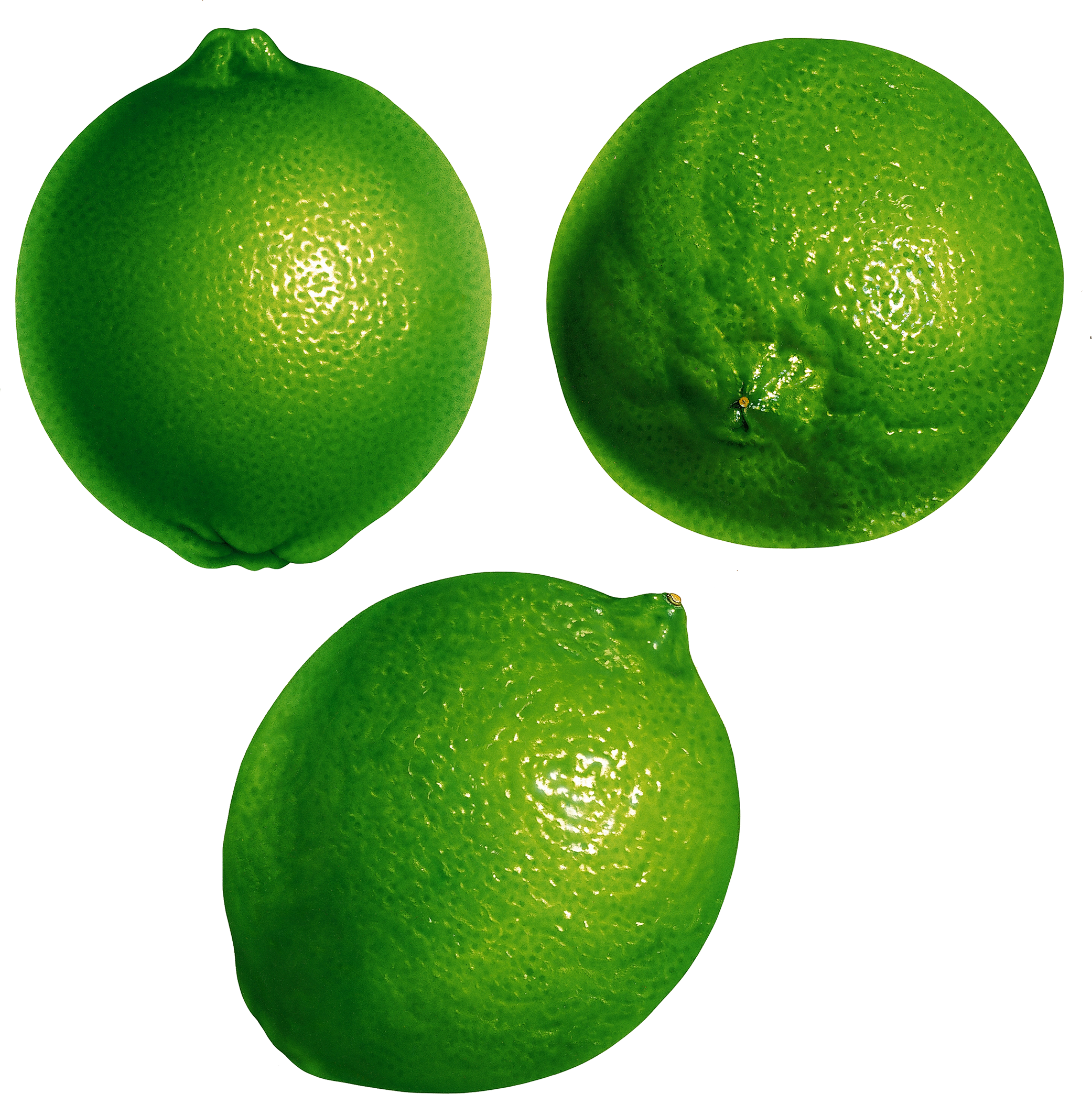 Citrus Lime PNG Images