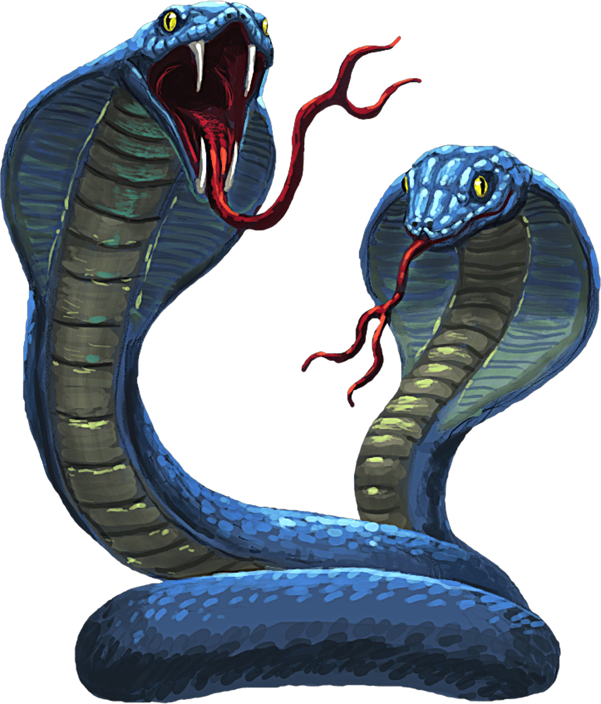 Cobra Animal PNG File