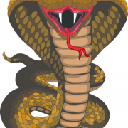 Cobra PNG Background