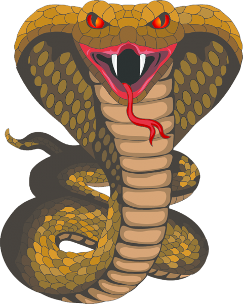 Cobra PNG Background