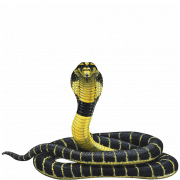 Cobra Snake PNG HD Image