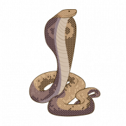 Cobra Snake PNG Foto