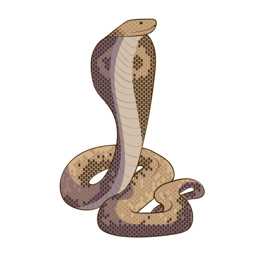 Cobra Image png de serpent