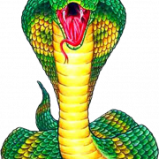 Cobra Viper PNG File