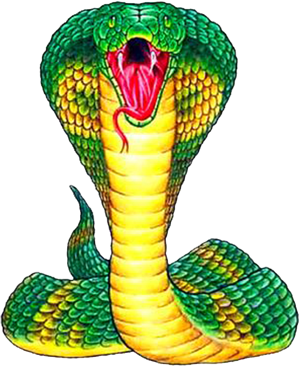 Cobra Viper PNG File
