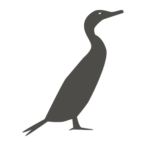 Cormorant No Background