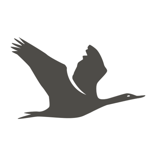 Cormorant PNG Free Image