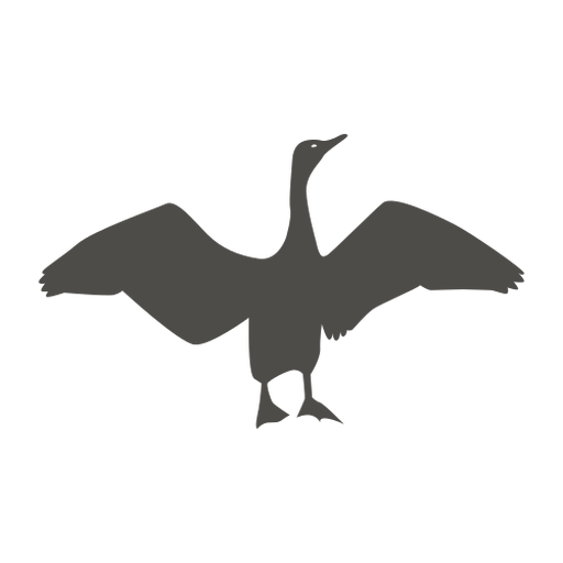 Cormorant PNG Image HD