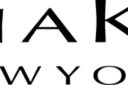 DKNY Logo PNG Cutout