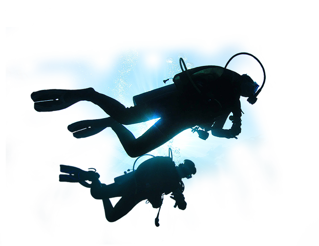 Diver No Background