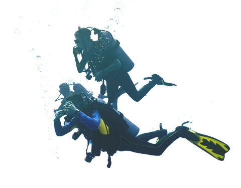 Diver PNG Picture