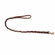 Dog Leash Png Picture