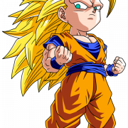 Dragon Ball Z PNG COUPE