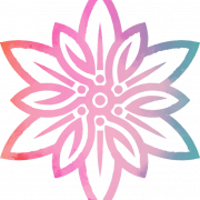 Edelweiss PNG File