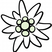 Edelweiss PNG HD Image