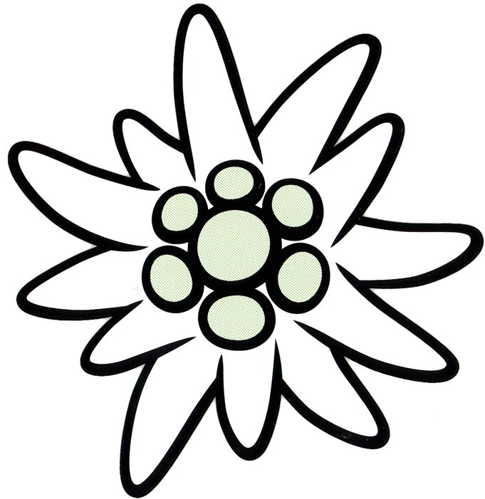 Edelweiss PNG HD Image