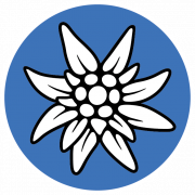 Edelweiss PNG Photo