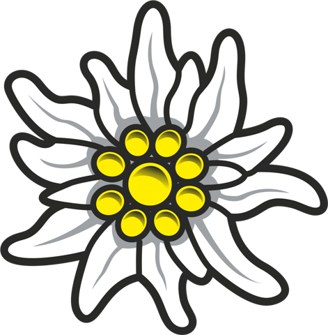 Edelweiss Plant PNG Free Image