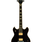 Electric Guitar Instrument PNG Image