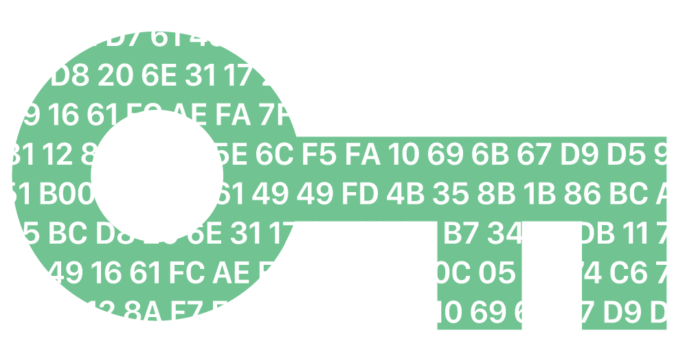 Encryption Network PNG Pic