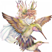 Fairy bird walang background