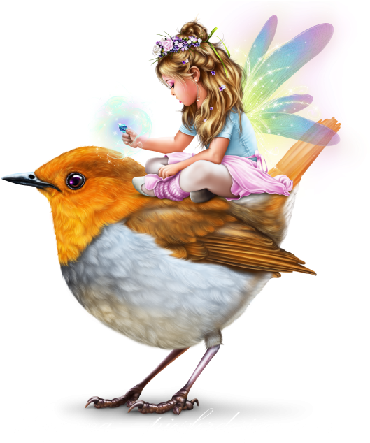Fairy Bird PNG Free Image