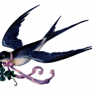 Fairy Bird PNG Image