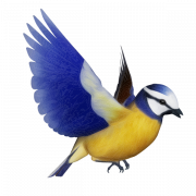 Fairy Bird PNG Picture