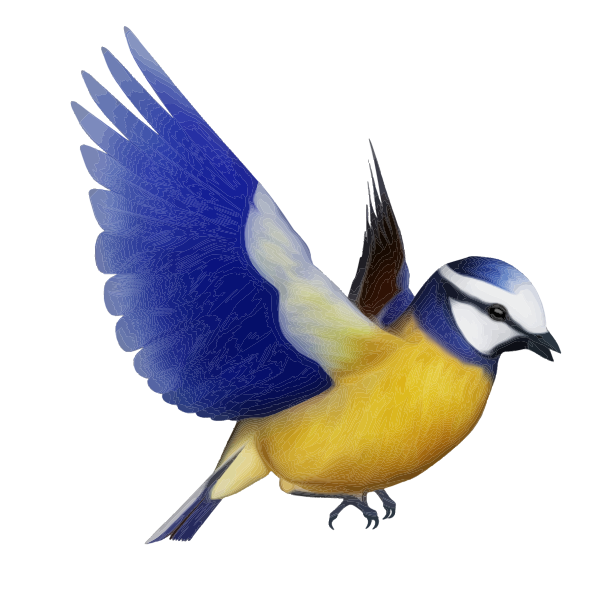 Fairy Bird PNG Picture