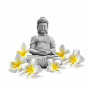 Gautama Buddha png Bild
