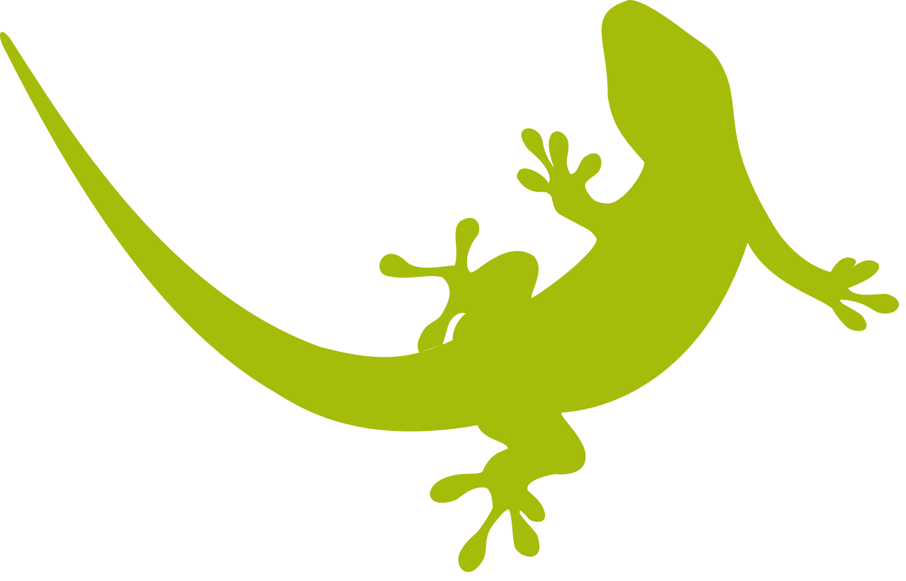 Gecko sans arrière-plan