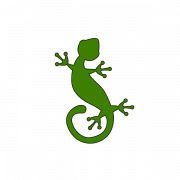 Gecko png clipart