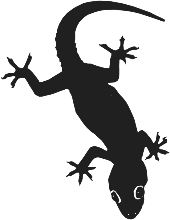 Fichier gecko PNG