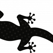 Gecko png pic