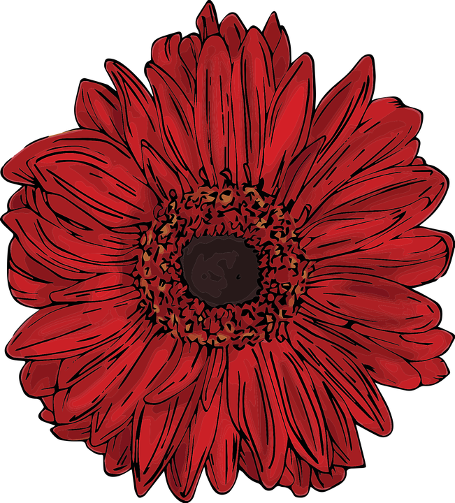 Gerbera Flower PNG Image