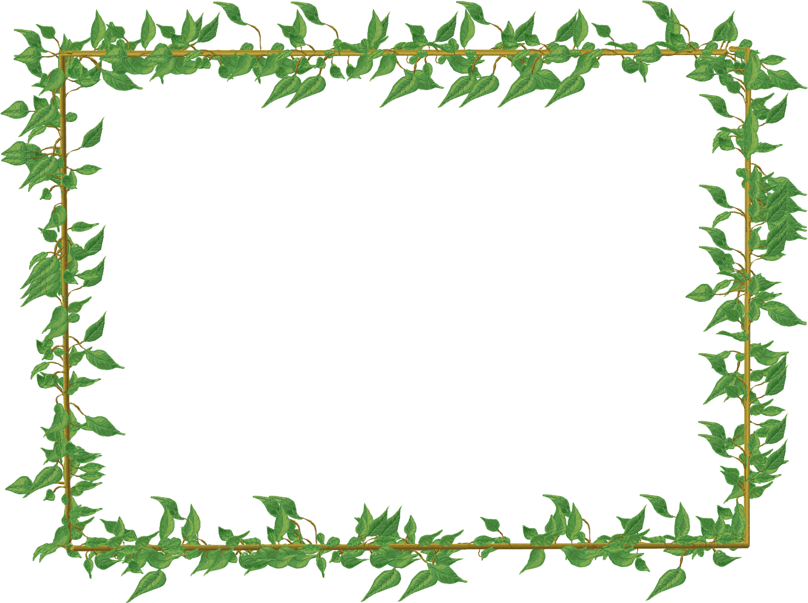 Green Frame PNG Picture