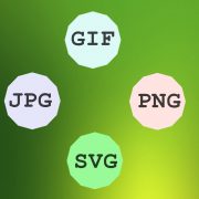 JPG GIF PNG and SVG