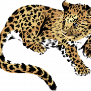Jaguar Hayvan Png