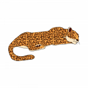 Imagen de png de animal jaguar