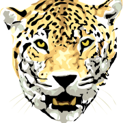 Jaguar Animal Png изображения