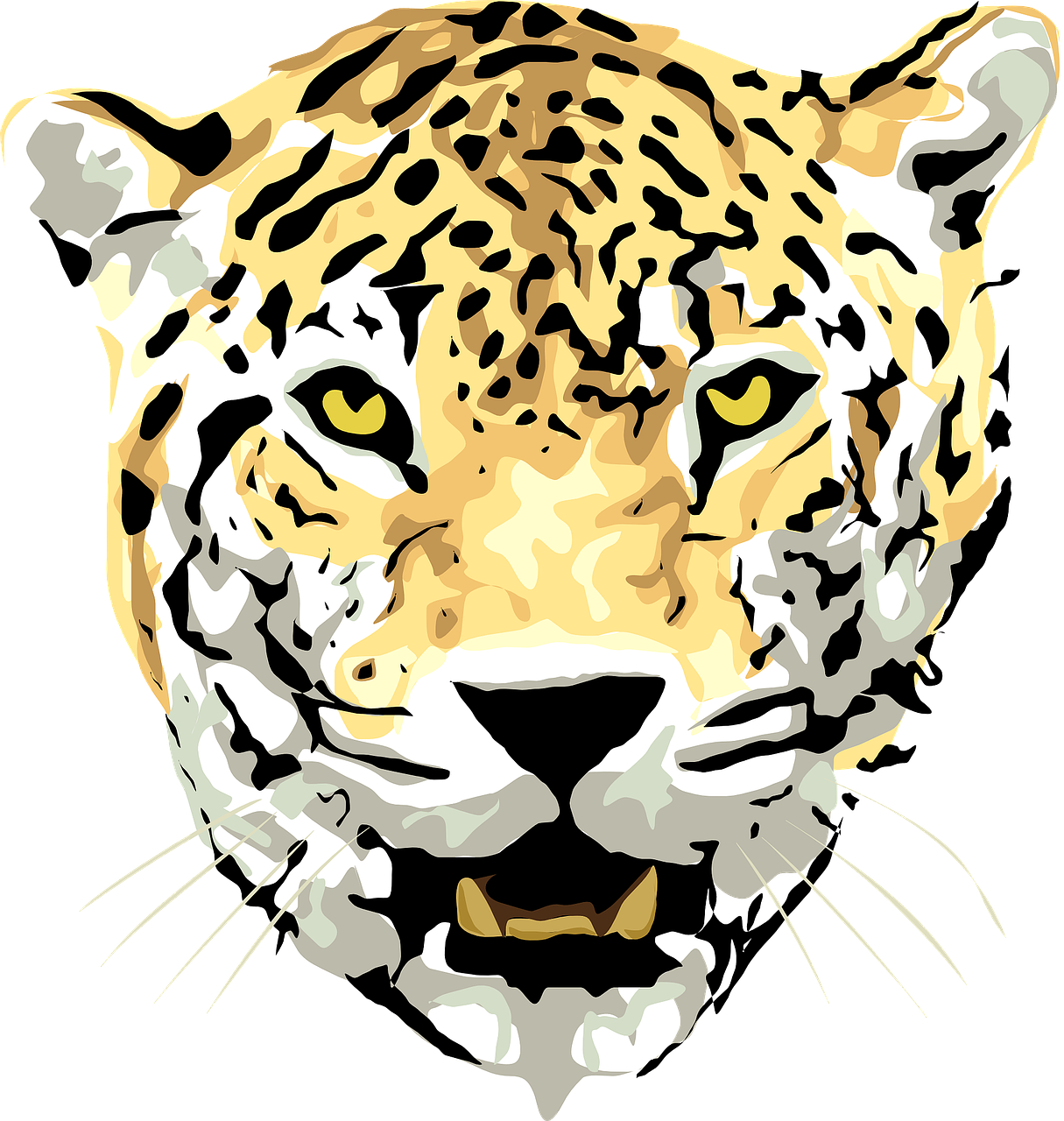 Jaguar hayvan png görüntüleri