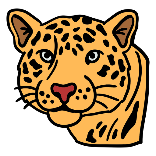 Jaguar Animal Predator